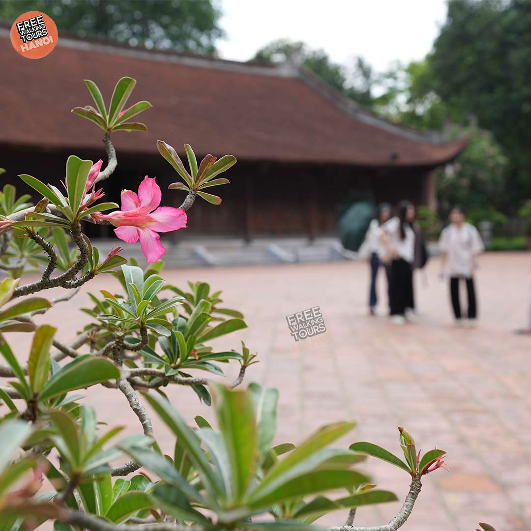 The Majestic Architecture that Adorns Vietnam Temple of Literature